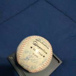 Pelota de Beisbol