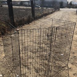 Dog Cage