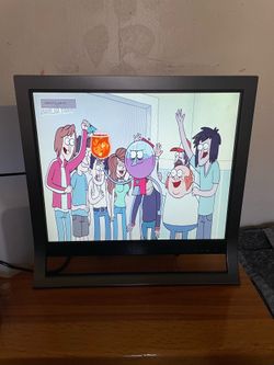 Sony XBrite 19" LCD Monitor