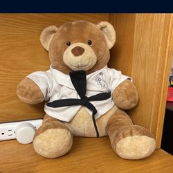 Build a Bear Plush Karate 