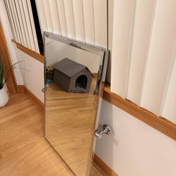 Kohler mirror with shelf