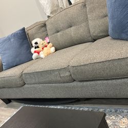 stylish gray sofa