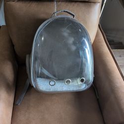 Pet Traveling Career