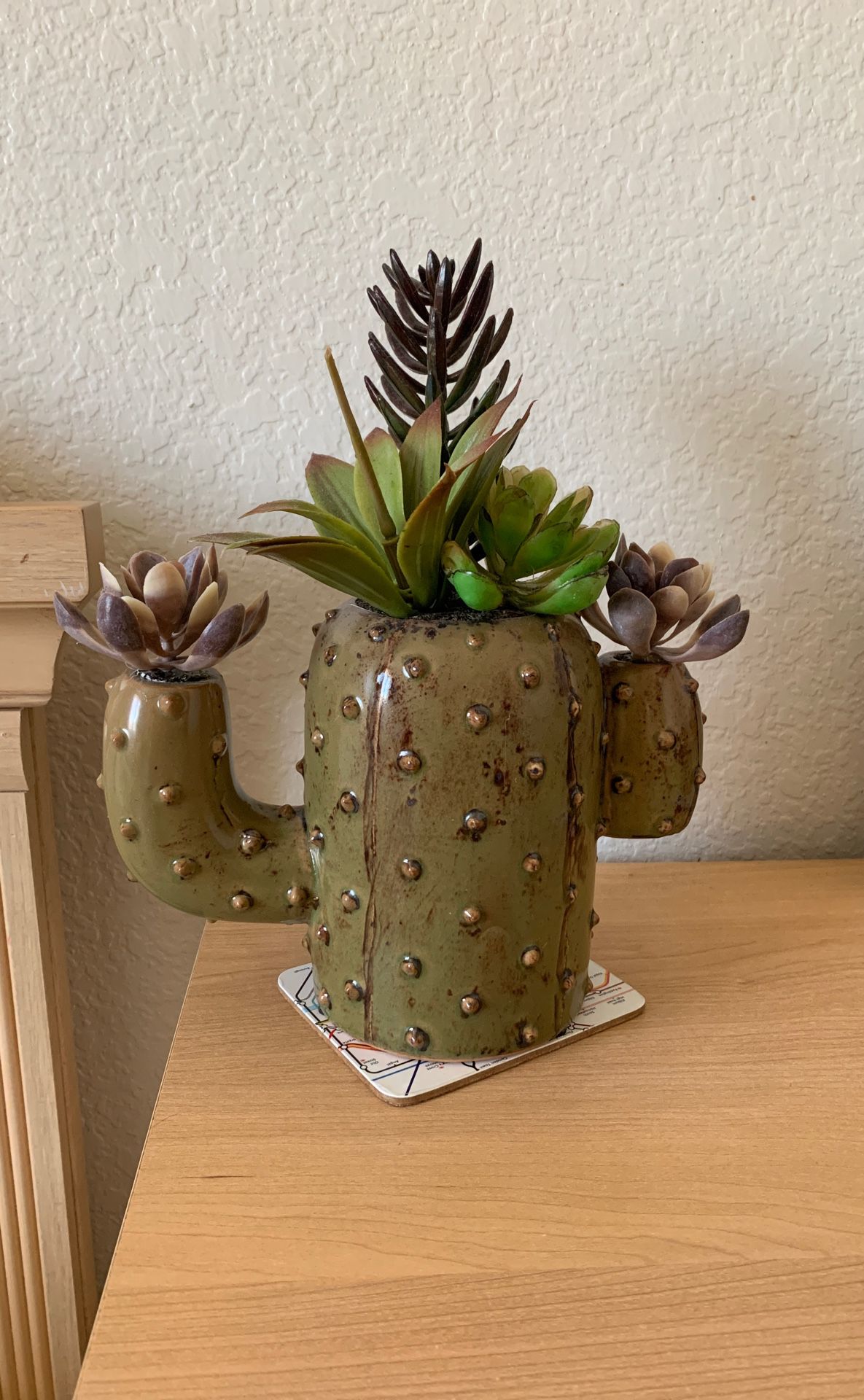Cactus succulent decor