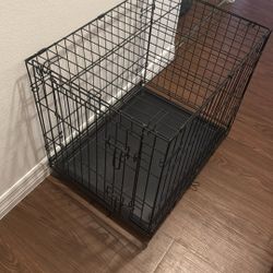 Pet Case 