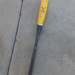 Easton Beast Baseball Bat