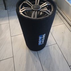 10 Inch Tube Subwoofer 