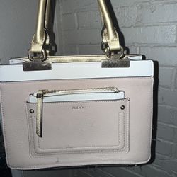 Aldo Purse 