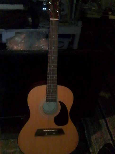 Adam Levine Guitar
