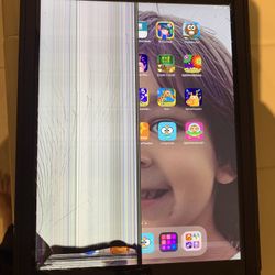 IPad (7th generation) with Otter Box 