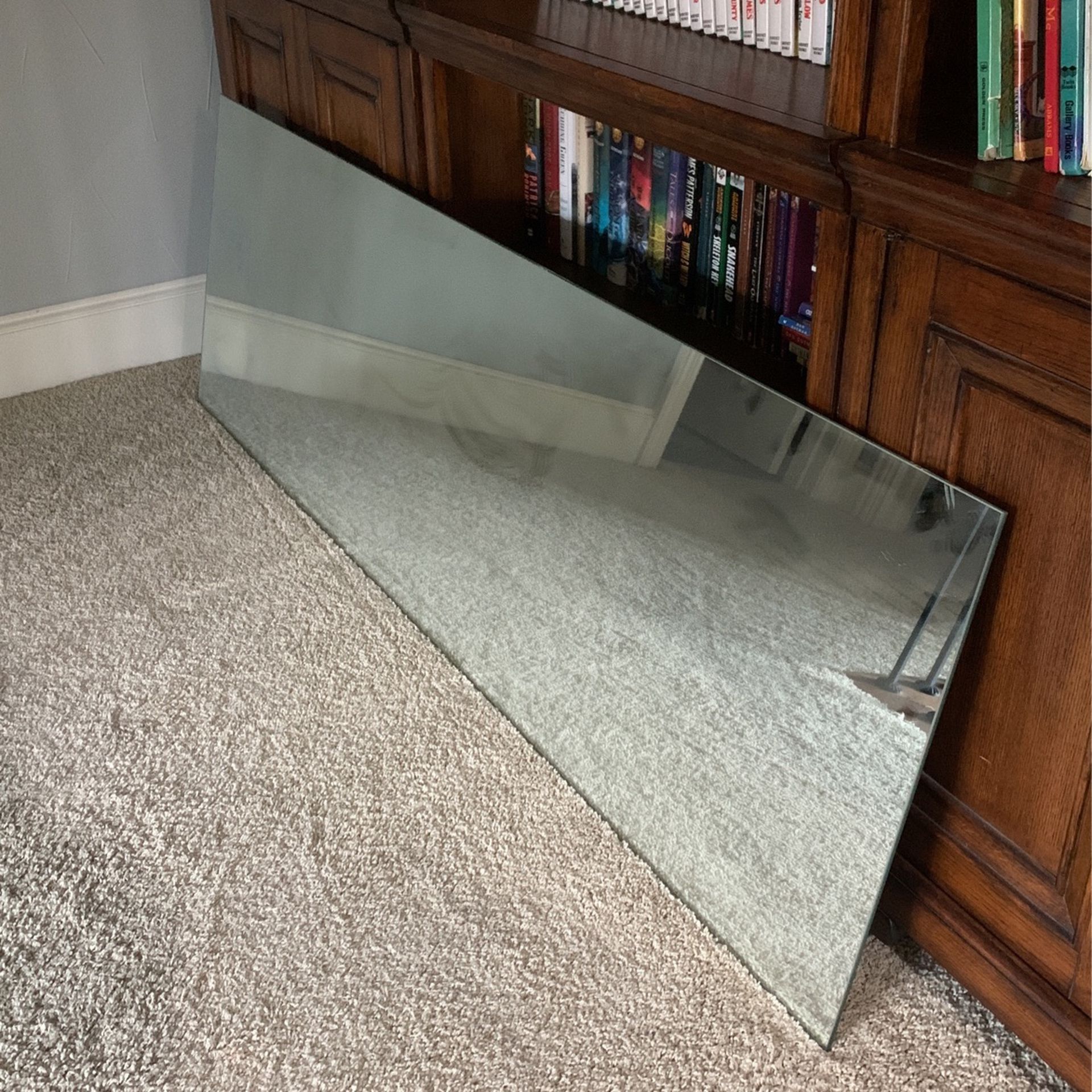Mirror - Perfect for work out room 22 X 68