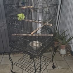 Jaula Negra Para Aves En Buenas Condiciones 