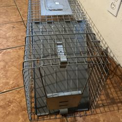 Animal Trap