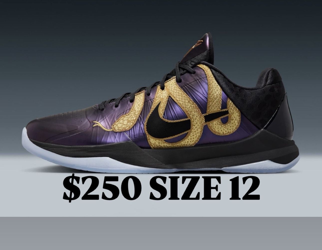 Nike Kobe 5 Protro Year Of The Mamba