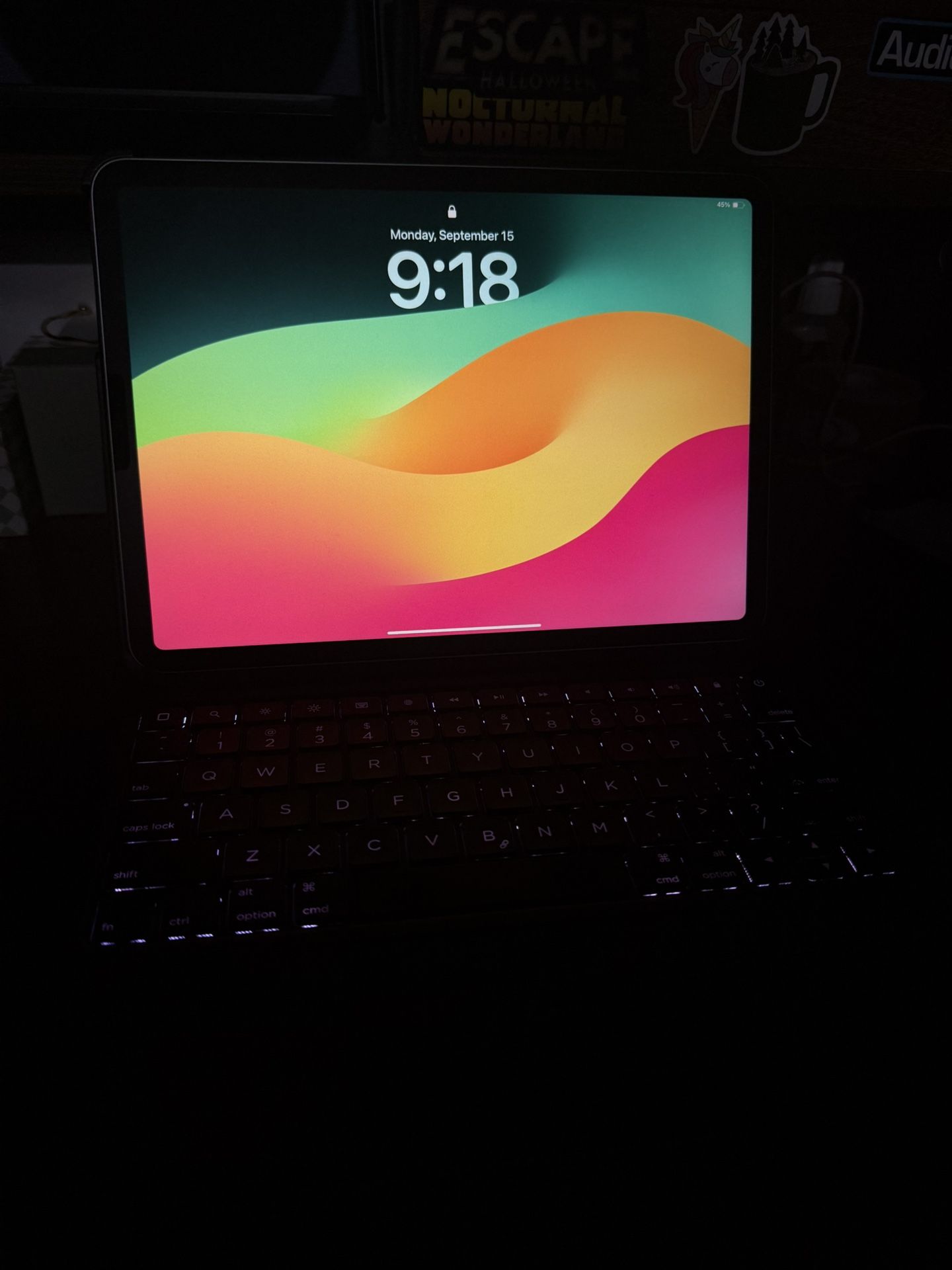 iPad Pro 11in 4th Gen 