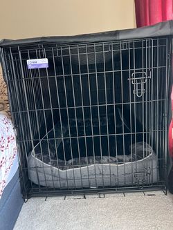 Large dog crate
