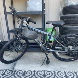 RoadMaster Mountain Bike (24’)