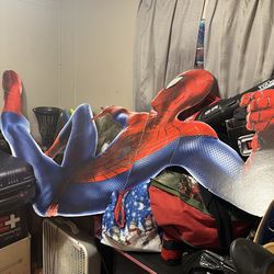 Spider cardboard wall art