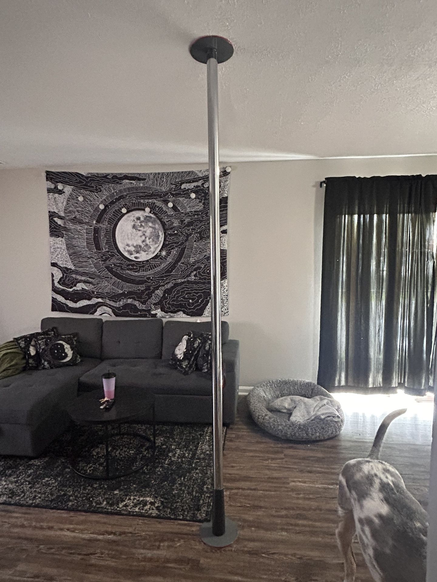 Dance Fitness Pole