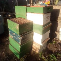 Bee Boxes