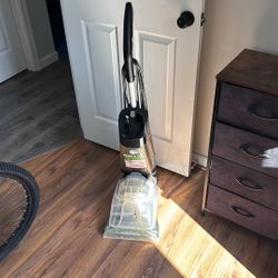 Carpet Cleaner