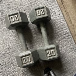 20 Pound Dumbbell 