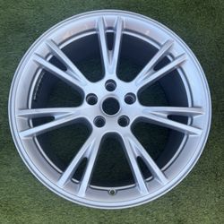 Tesla Model Y Rim19