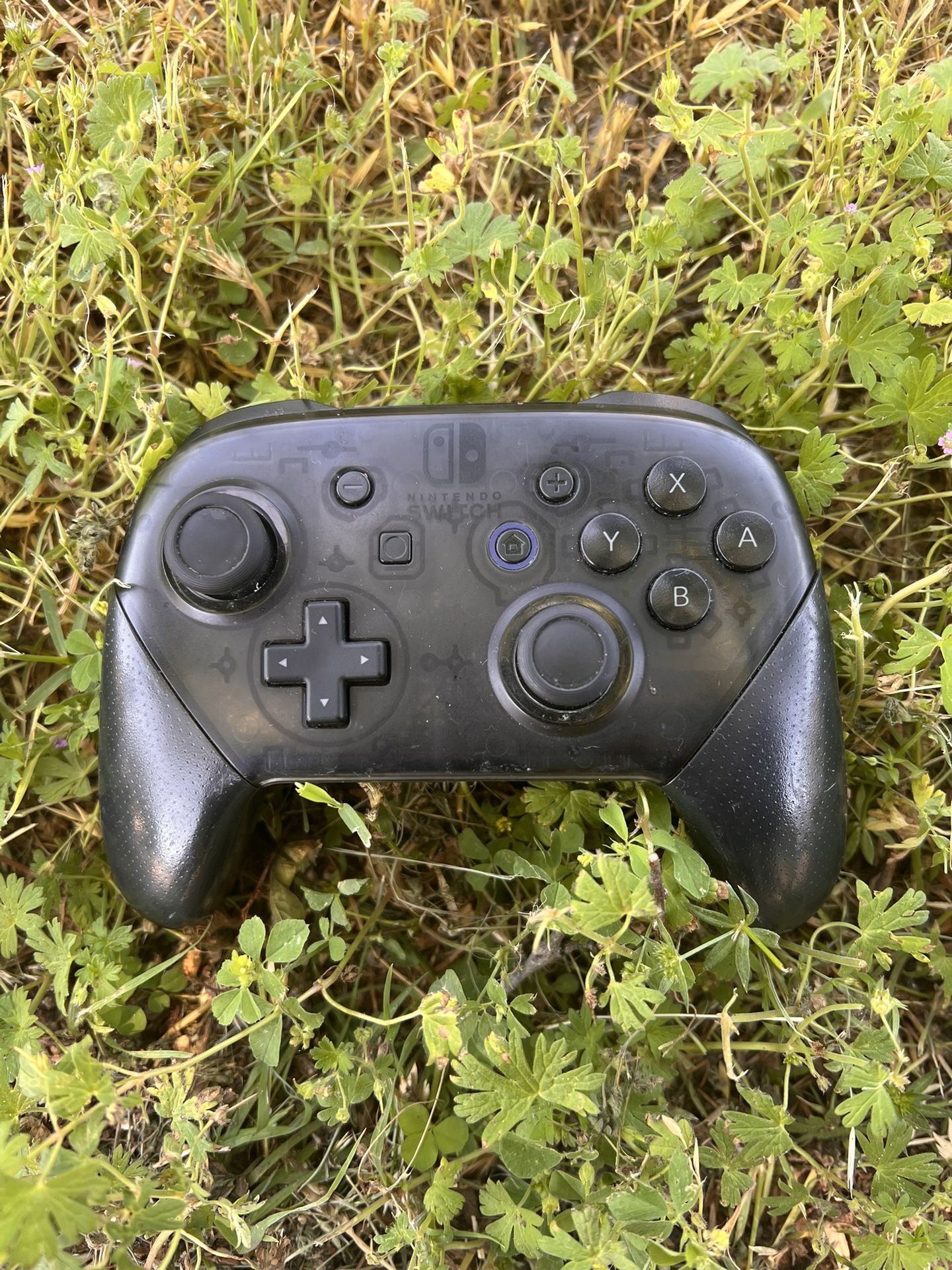 Nintendo Switch Controller