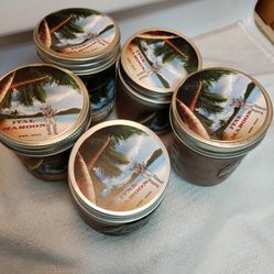 Wildcrafted St Lucian Sea Moss!