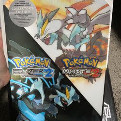 Pokémon Black Version 2 and Pokémon White Version 2