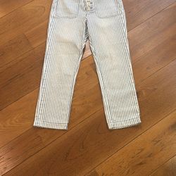 Anthropologie Pilcro High Rise Slim Striped Railroad