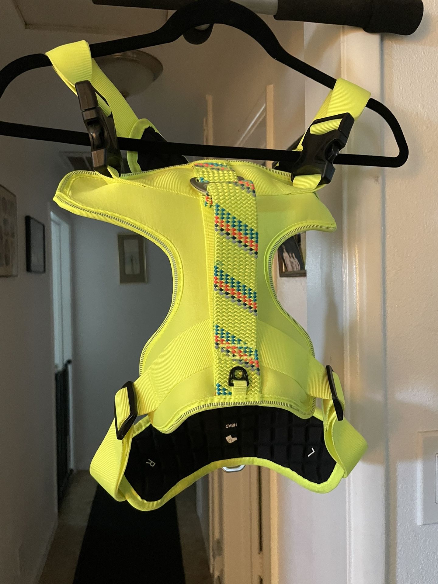 Dog Harness
