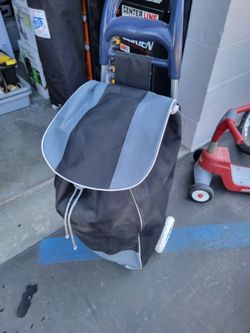 Carry bag with wheels