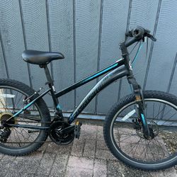 24 Inch Schwinn Sidewinder 