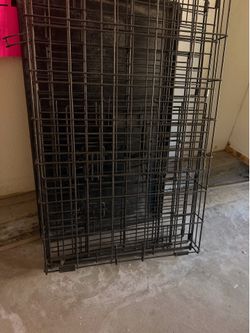 Pet Crate/Kennel