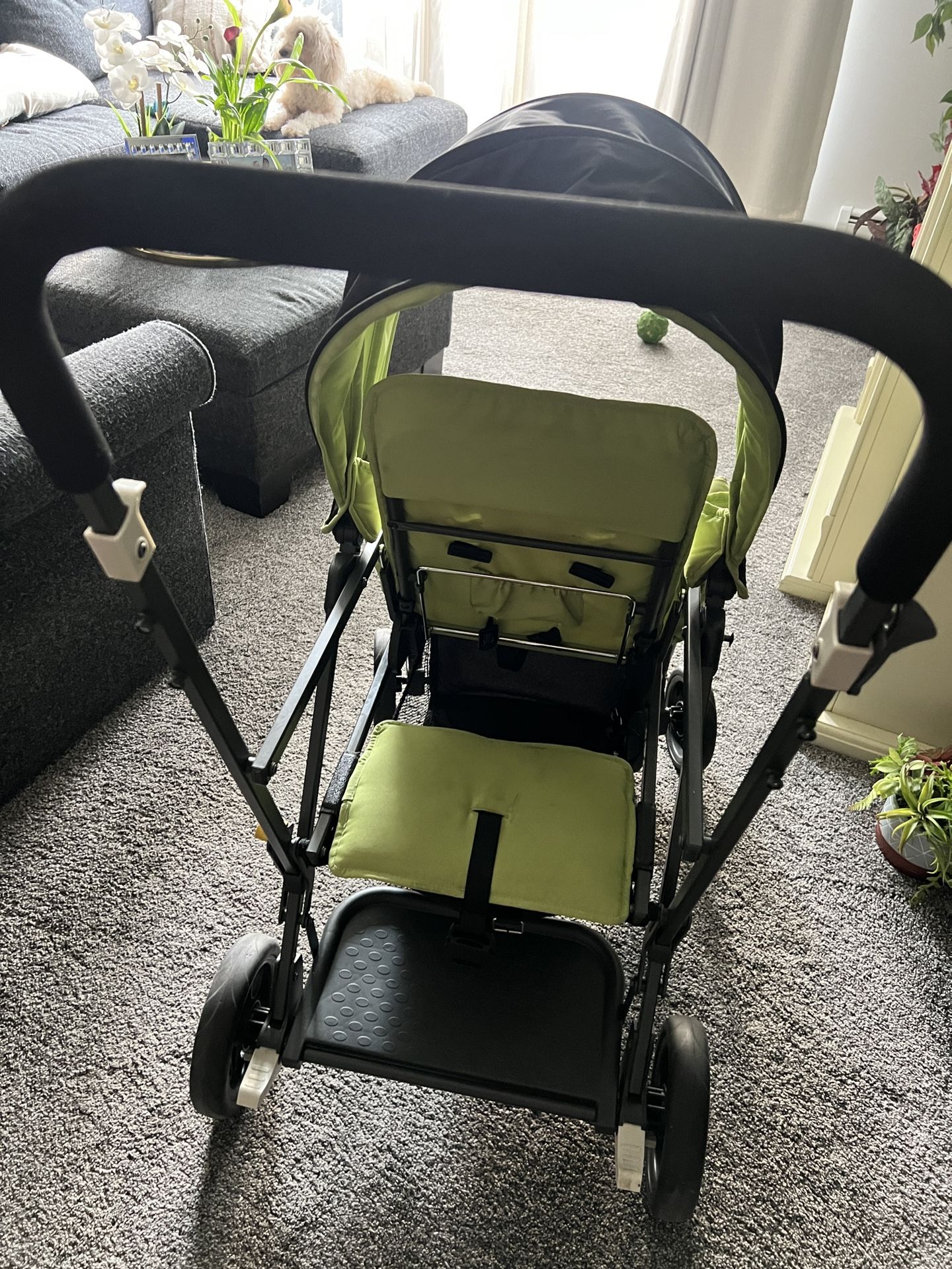 Joovy  Caboose Double Stroller 