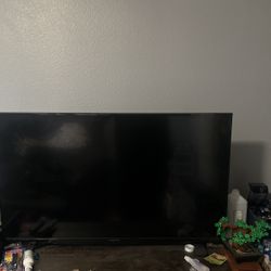 Insignia TV