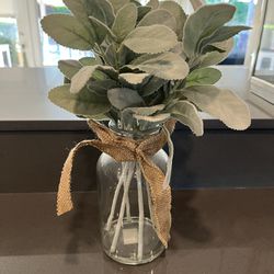 Succulent in Glass Vase