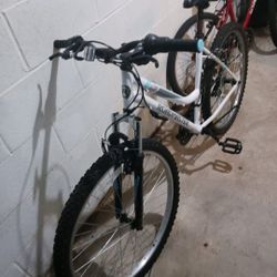 Road Master Mountain Bike