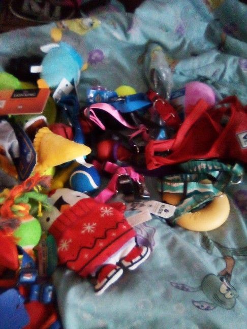 Toys, Collars, Leashes
