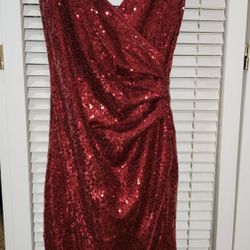 Woman's XS sequined Dress