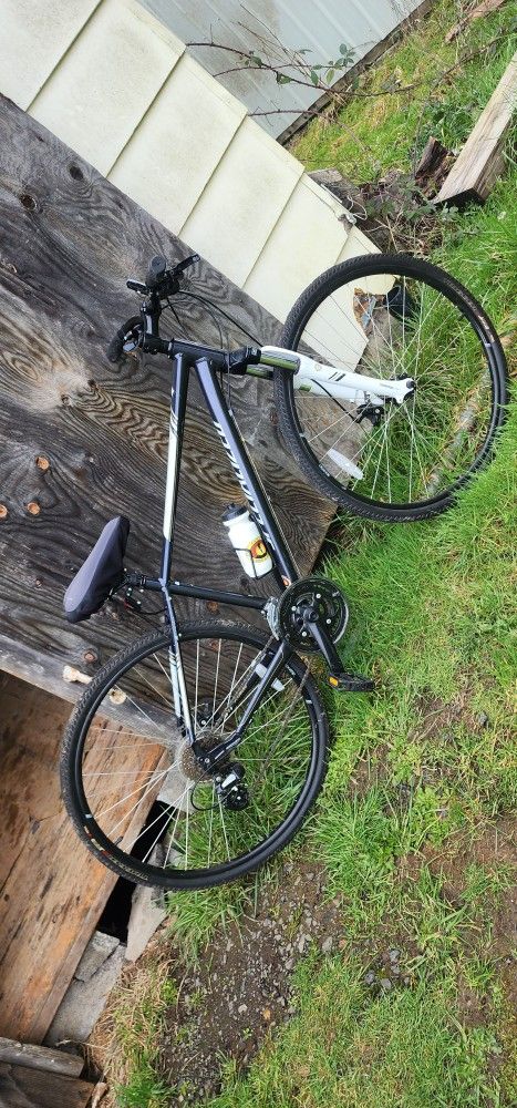 Womens Specialized Ariel Bike