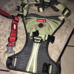 Xxl Kong Harness And Collar