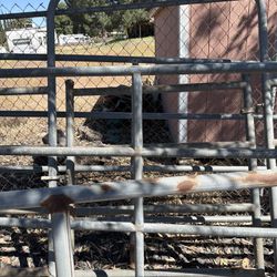 4 Horse Fence Panels 24 Ft Long Each 