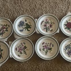 Dinner Plates Set