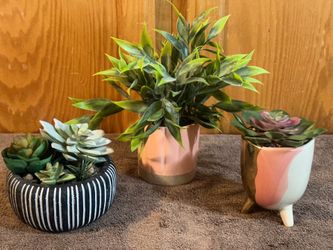 Modern Faux Succulent Plant Arrangement Trio - Set of 3