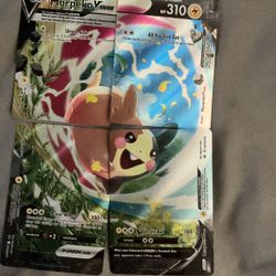 Morpeko V Both Sets 