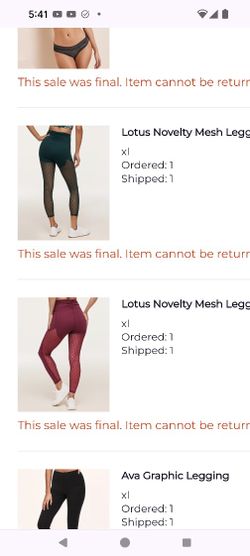 Brand New Mesh Leggings