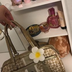 Coach bag
