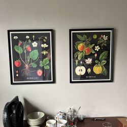 Framed Fruit Prints